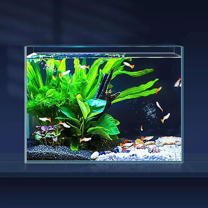 3 Gallon Ultra Clear Glass Fish Tank Rimless Low Iron Aquarium for Betta/Nano/Goldfish/Snail/Shrimp Small Fish Tank