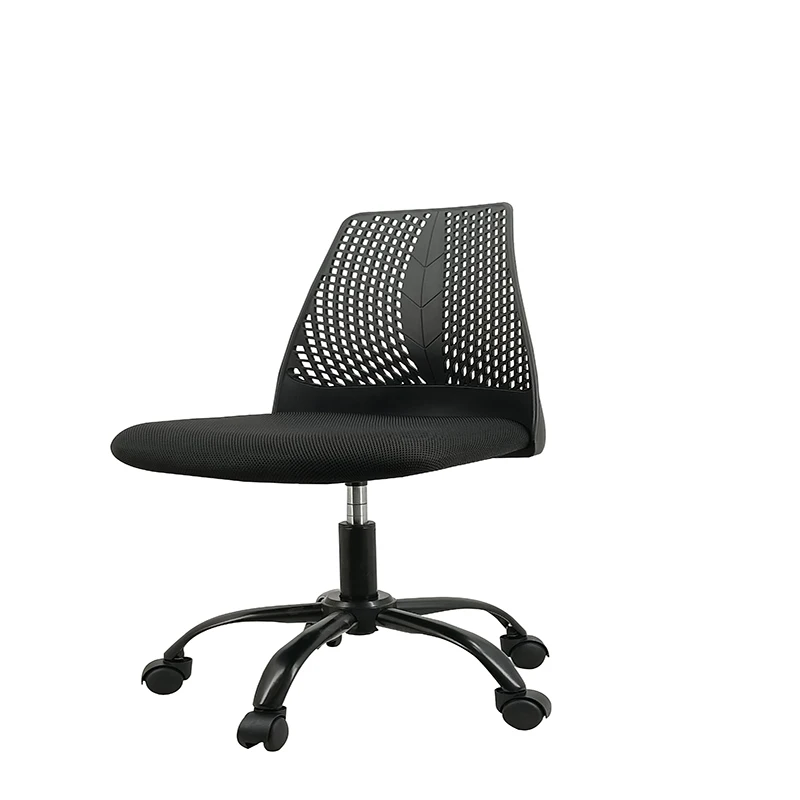 Ergonomic Office and Home Chair with Supportive Cushioning, Black