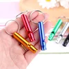 Mini Metal Whistle with Keychain for Pets 5