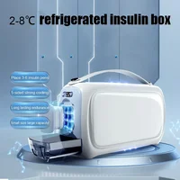 Boîte Portable Indispensable pour le Stockage des Médicaments, Insuline Unidirectionnelle, Interféron Indispensable, Nombreux Mini Réfrigérateur 1