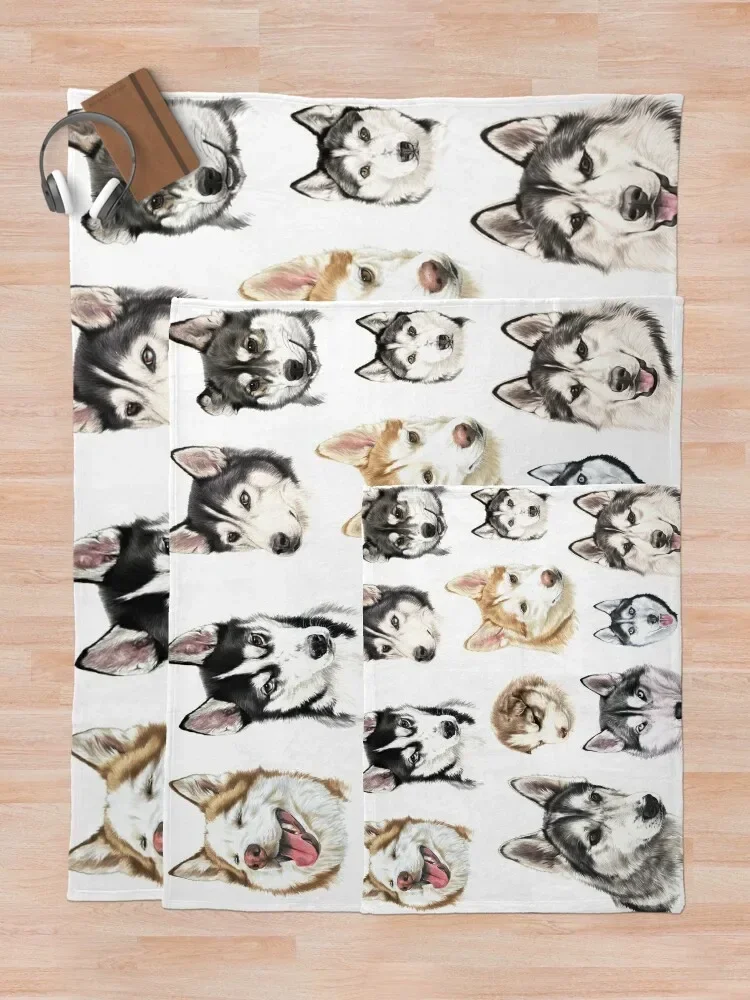 �㽺Ű �ݶ��� ������ ���, ķ�ο� �Ϳ��� ���� ���� ���, ħ�� ���