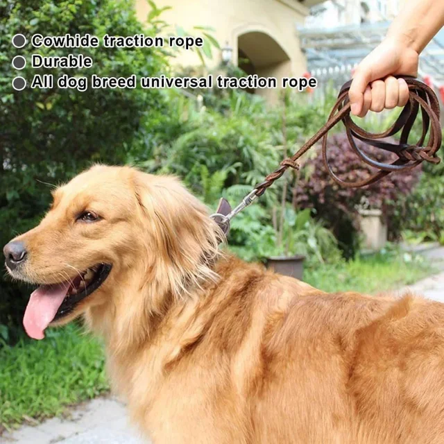 Genuine Leather Dog Leash Dogs Long Leashes Braided Pet Walking Training Leads Brown Black Colors for Medium Large Pet 2