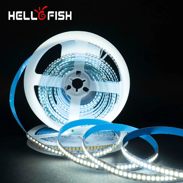 LED Strip 2835 240 LEDs/m DC12V High Brightness 1200 LED Single Row  Flexible LED Light Warm White / White RGB 5m/lot - AliExpress