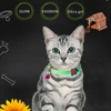 Luminous Cat Necklace Glowing Small Dog Cat Collar Anti-Loss Fluorescent Silicone Cat Bell Collar Neck Ring Pet Cat Accessories 4