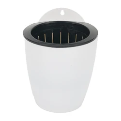 Transparent Self - Watering Flowerpot with Automatic Water - Absorption System (M)