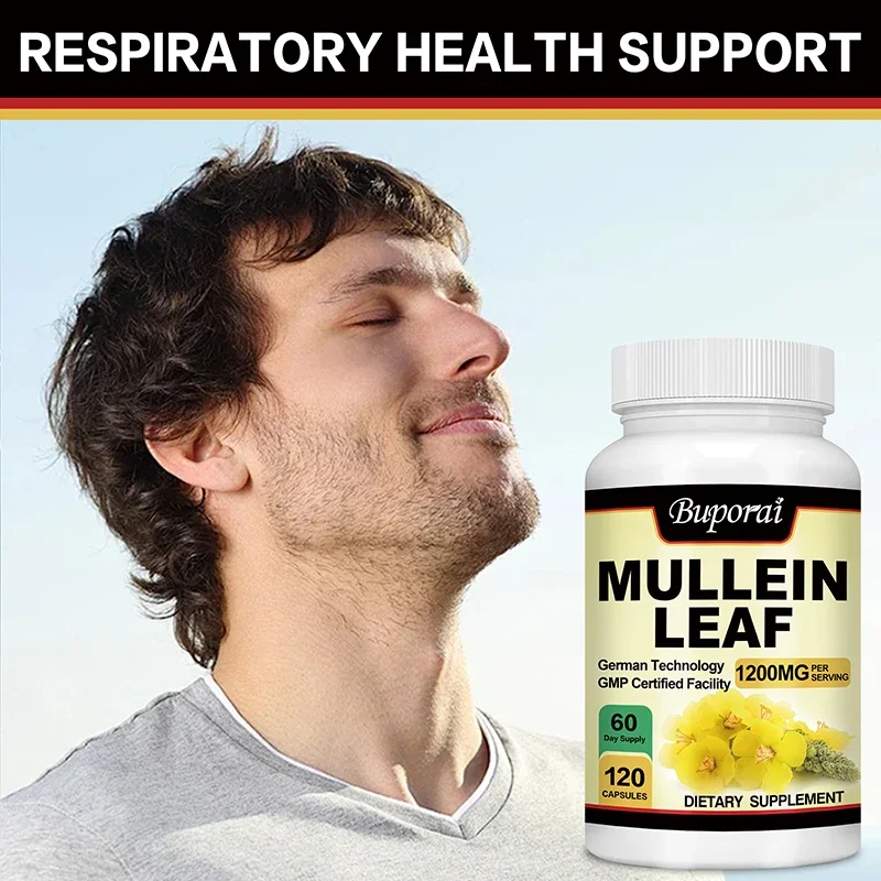 Mullein Leaf-Clean The Lung Protecting The Respiratory System Relieve Phlegm and Cough Immune Support mullein leaf extract