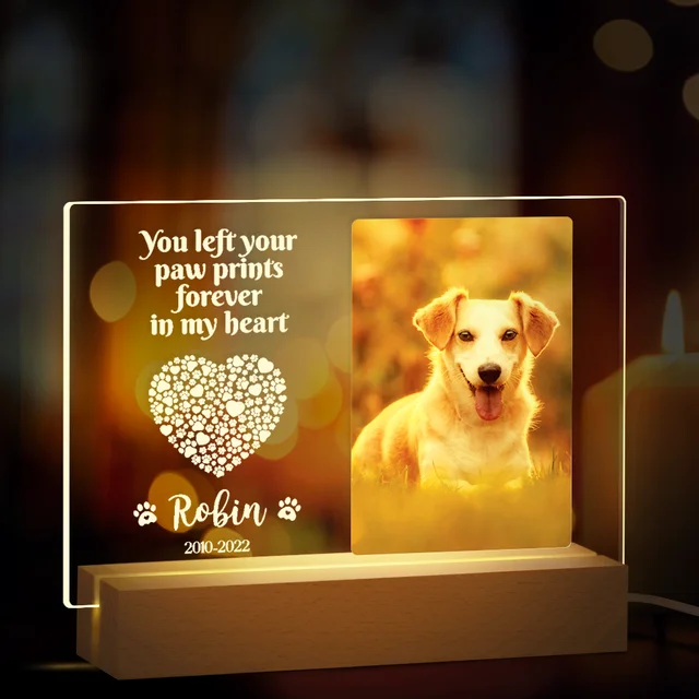 Dog Memorial Bracelet in Beautiful Gift Box - Pet Memorial Gifts - Dog Memorial Gifts - Dog Bereavement Gifts for Loss of Pet - Pet Loss Gifts 