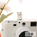 Sitting Cat