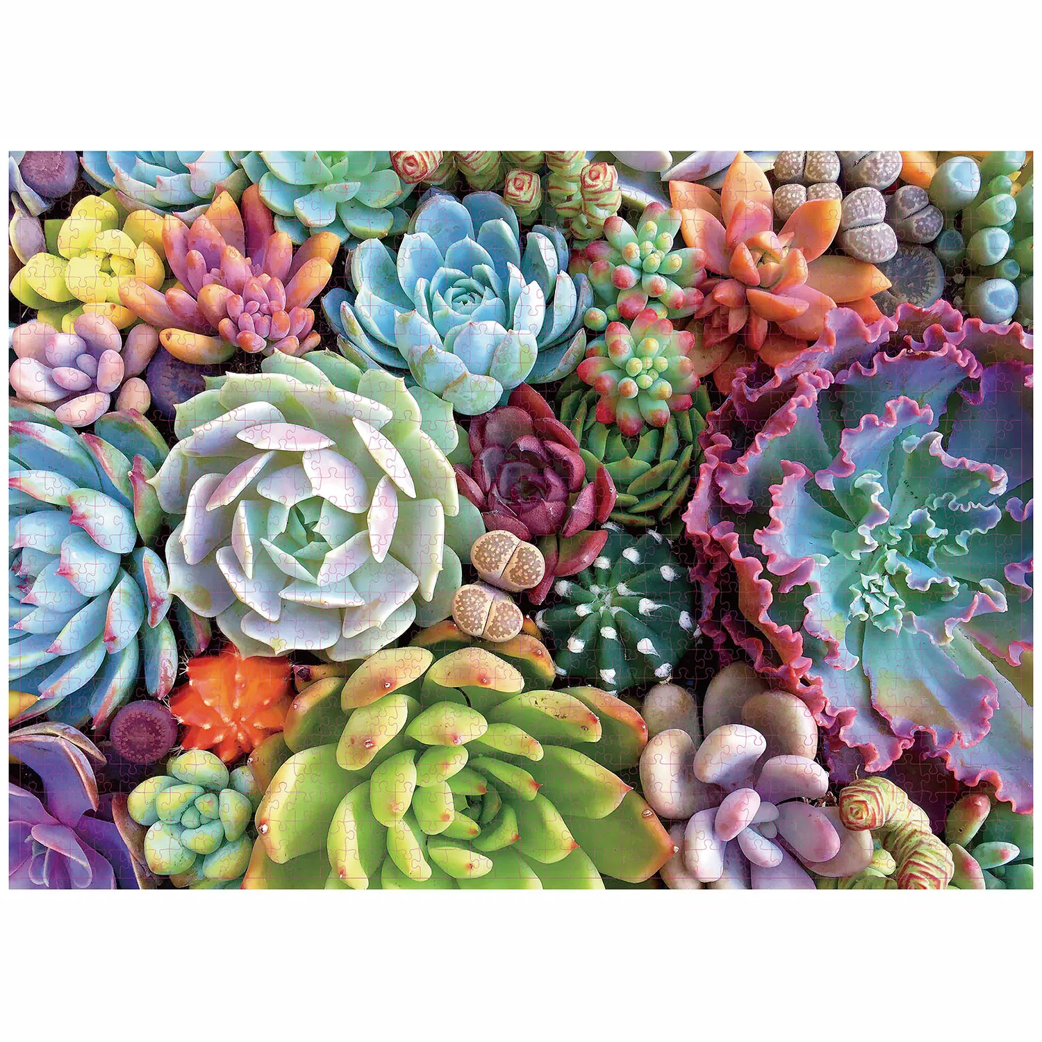 Succulent Plants Jigsaw Puzzle 1000 Pieces Home Decor Adults Kids Games, wooden jigsaw puzzles,jigsaw puzzles,mini jigsaw puzzle,educational puzzles,paper puzzle toys