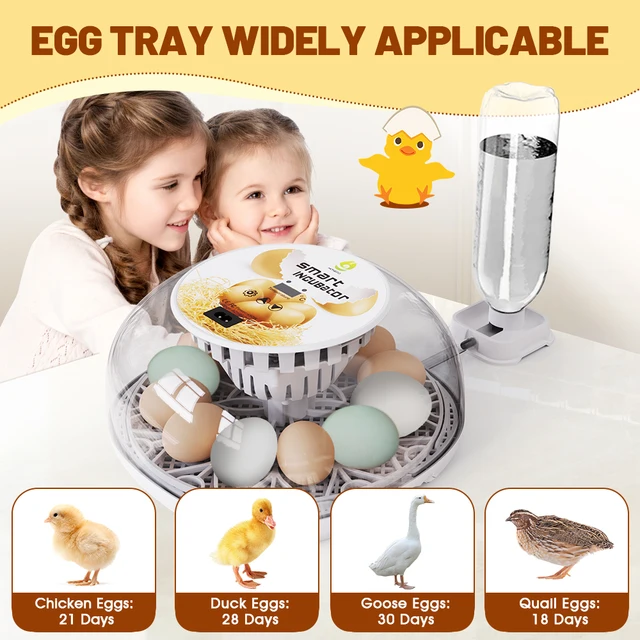 12 Eggs Incubator for Hatching Eggs with Automatic Egg Turner, Temperature Control, Automatic Water Adding for Hatching Chicken,