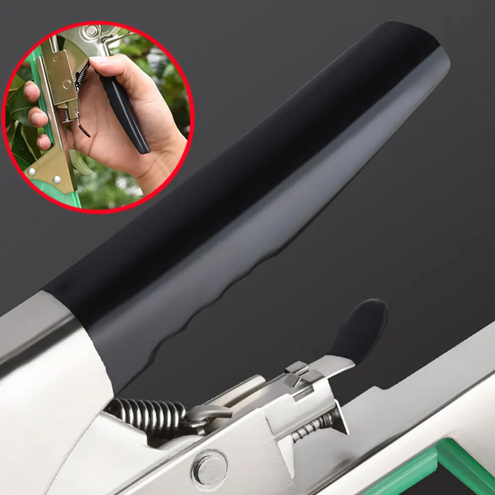 ���� ��� �Ĺ� ���� �Ĺ� ������ ���� ������ �� ������ ��Ʈ ��ä ���� �丶�� ���� ���� ��