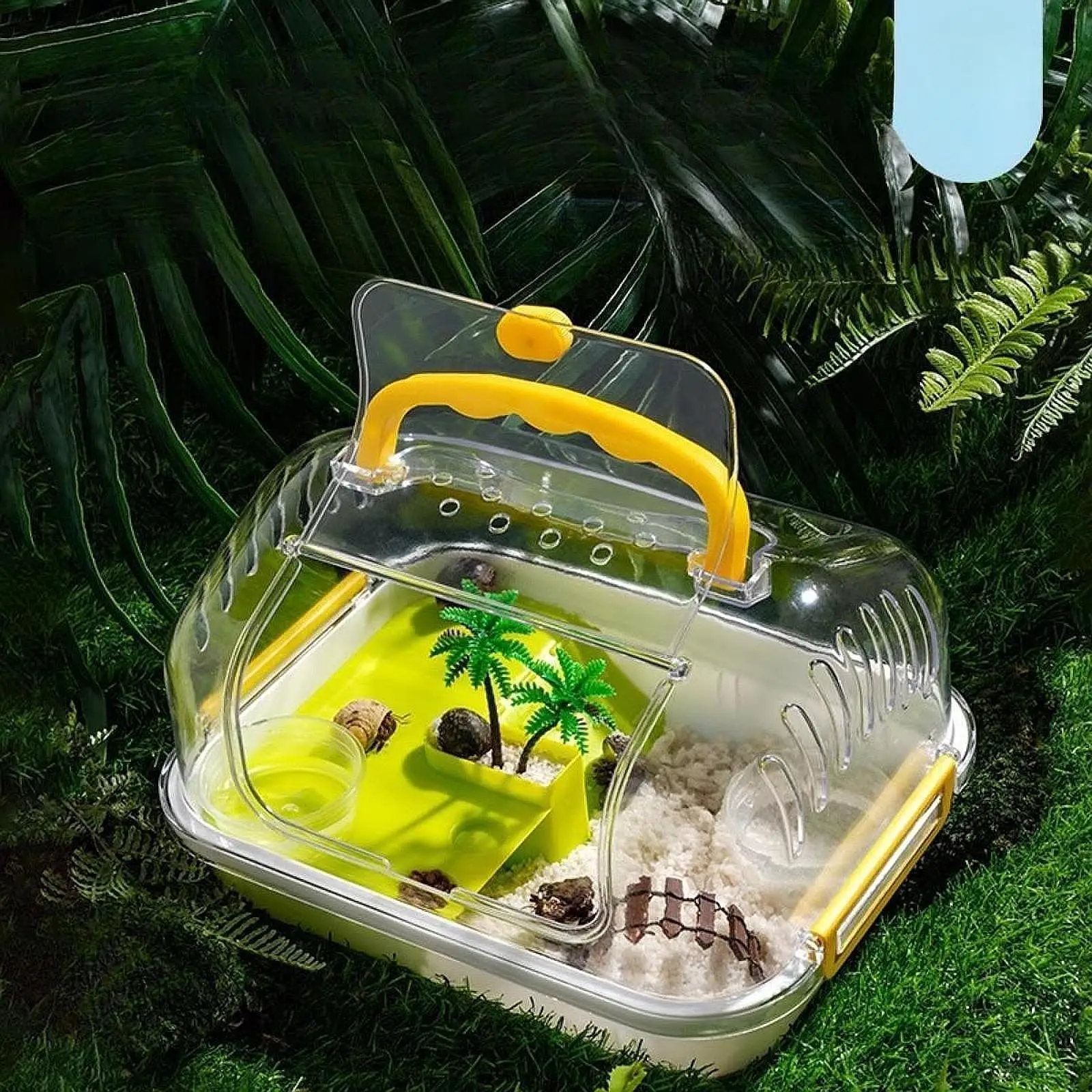 Turtle Tank Amphibians Multifunction Areas Tortoises Case Turtle Terrarium for Snail Butterflies Horned Frogs Turtle Silkworms