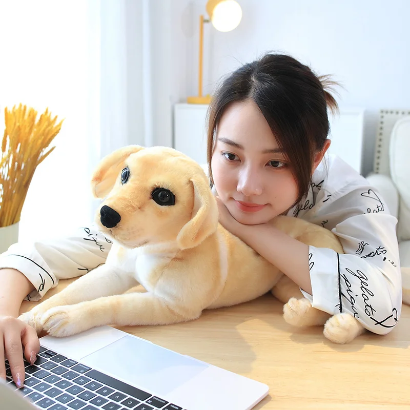 S7111f5daa2f94d5a950fe241a5ea3272e - Golden Retriever Gifts