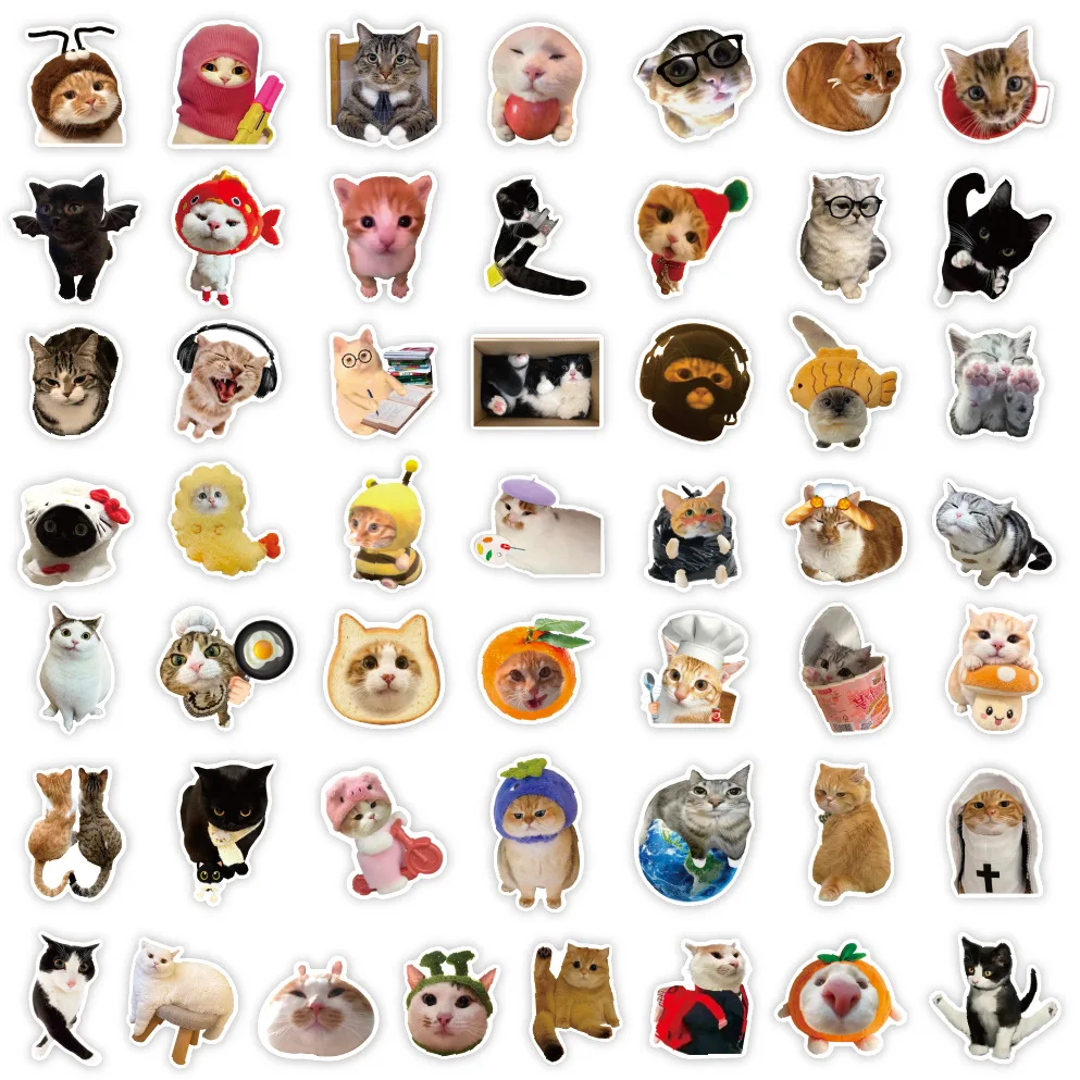 50개의 화난 고양이 스티커, 재미있는 고양이 표정 스티커, 어린이용 스티커, 문구용 스티커