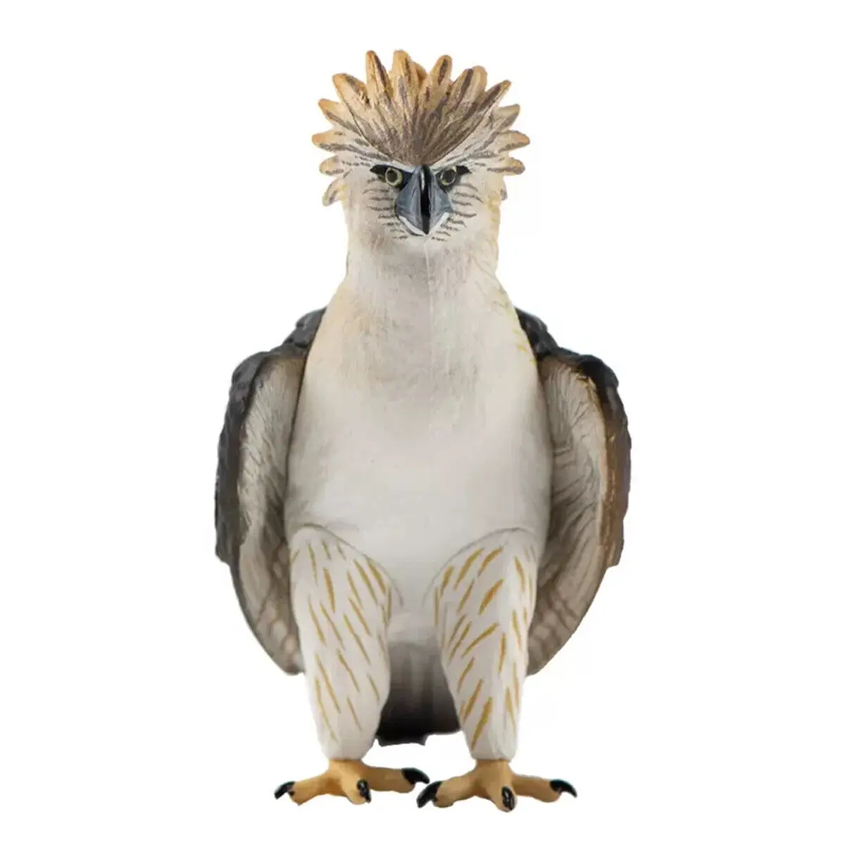 Harpy Eagle Vs Philippine Eagle