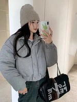 Korean Style High-end Short Gray Cotton Parkas Loose  Warm Thickened Stand Collar Outwear 2023 New Winter Coat Women 2