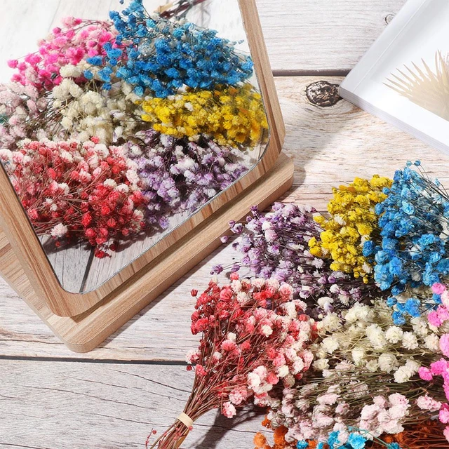 Piccolo Bouquet di fiori secchi naturali mazzi secchi naturali