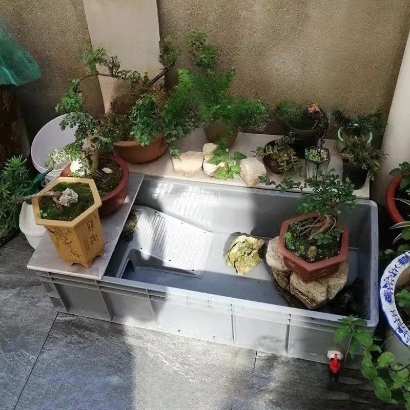 뚜껑이 있는 거북이 테라리움, 측면 배수구가 있는 두꺼운 테라리움, 사다리 등반이 가능한 대형 먹이통, 거북이 어항 하우스