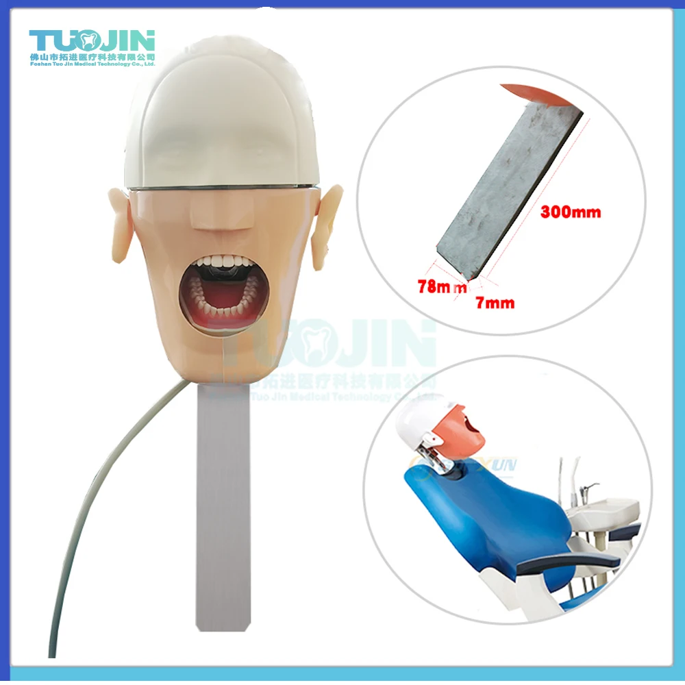 Dental Lab Equipment C3 Simulator Training Head Model Dentistry Manikin