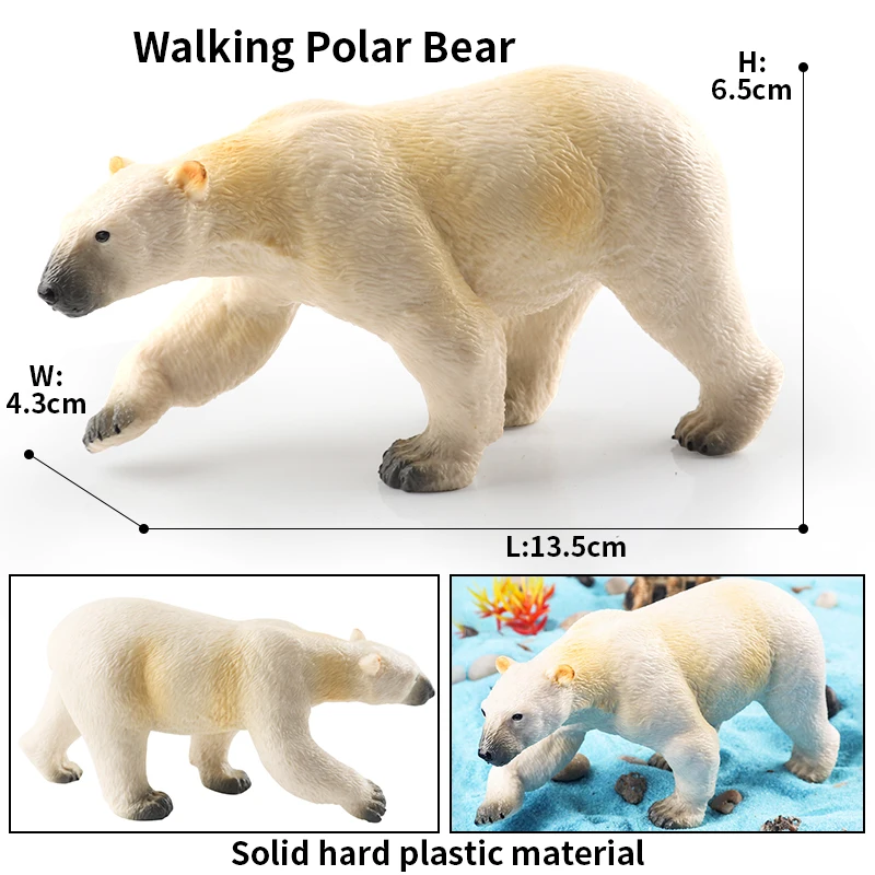 Oenux Arctic South Pole Animals Simulation Polar Bear Ursus