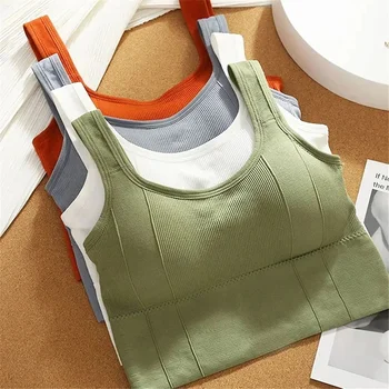 Sports Bra with Sweat-proof Function for Fitness Wear. Women's Seamless Yoga Bra. Anti-shock Off-shoulder Top. 1