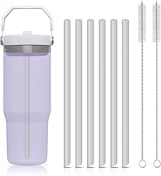 6pcs Reusable Plastic Straws with Cleaning Brush (6pcs)