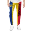 2025 Romania Flag Mens Sweatpants with Pockets Joggers for Men Sports Casual Sweat Pants With Drawstring 1