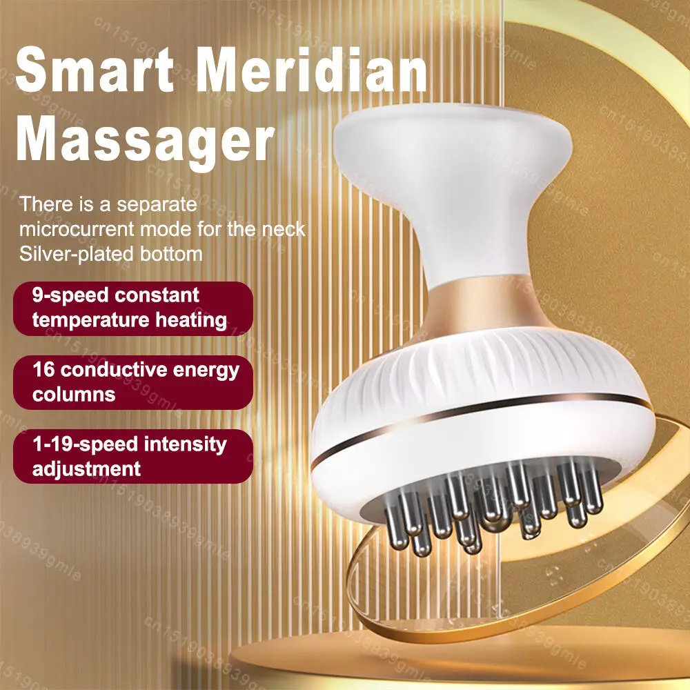 Eletric Guasha Massager Meridian Massage Brush Lymphatic Drainage Microcurrent Fat Burner Scraper Body Massage Anti Cellulite