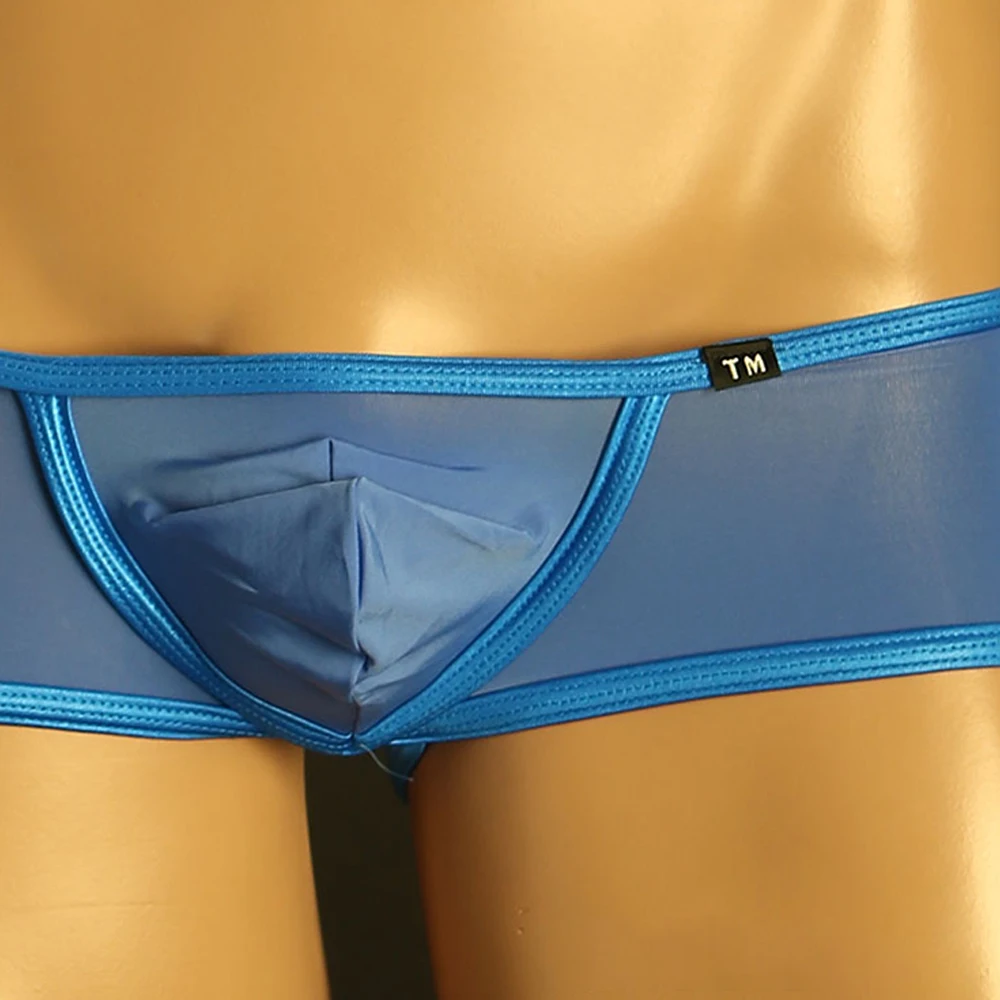 

Men's Sexy Super Low Waist Underpants Underwear Silky Shiny Pouch Panties Translucent Elastic Briefs Gay Sissy Lingerie
