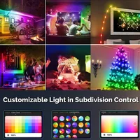 5M/10M/20M Tuya WIFI RGBIC USB Sting Light DIY LED Fairy Lights Waterproof Garland Decor for Christmas Wedding Birthday Party - Image 4