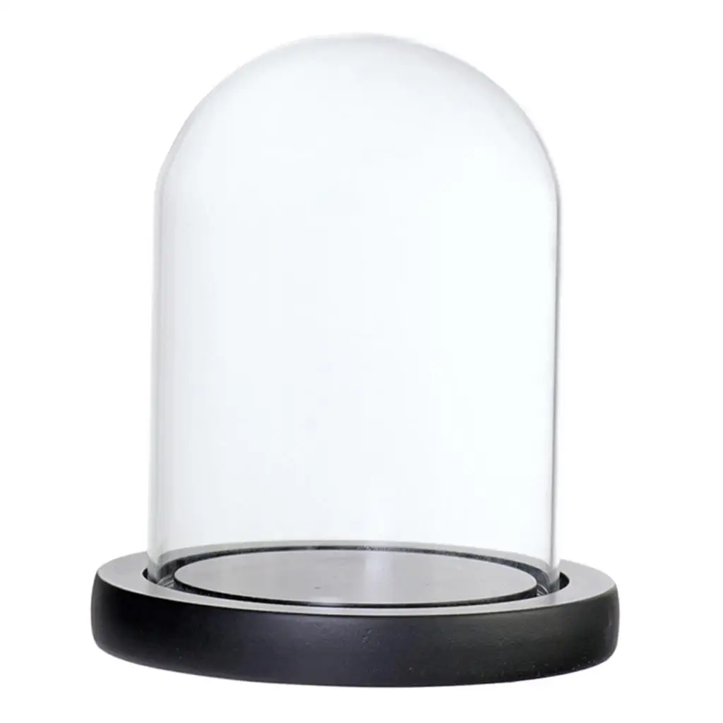 Elegant Glass Display Dome with Base for DIY Home Decor and Pinterest-Inspired Room Ideas