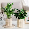 Mini Self Watering Flower Pot Fish Tank Transparent Plastic Plant Pots Self Watering Planter Pot Vase For Home Decoration 1