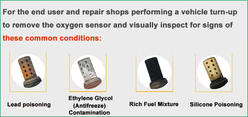 Oxygen Sensor Note2