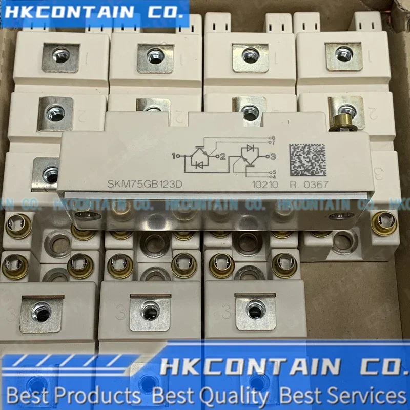 SKM75GB101D/121D SKM75GB12V SKM75GB123D SKM75GB123DE SKM75GB124D SKM75GB128DN SKM75GB128DE SKM75GB128DN SKM75GB12T4 