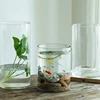 6.5x6/8/10/15/18cm Glass Flower Vase for Wedding Centerpieces Cylinder Vase Floating Candle Holders for Small Tealight Party 1