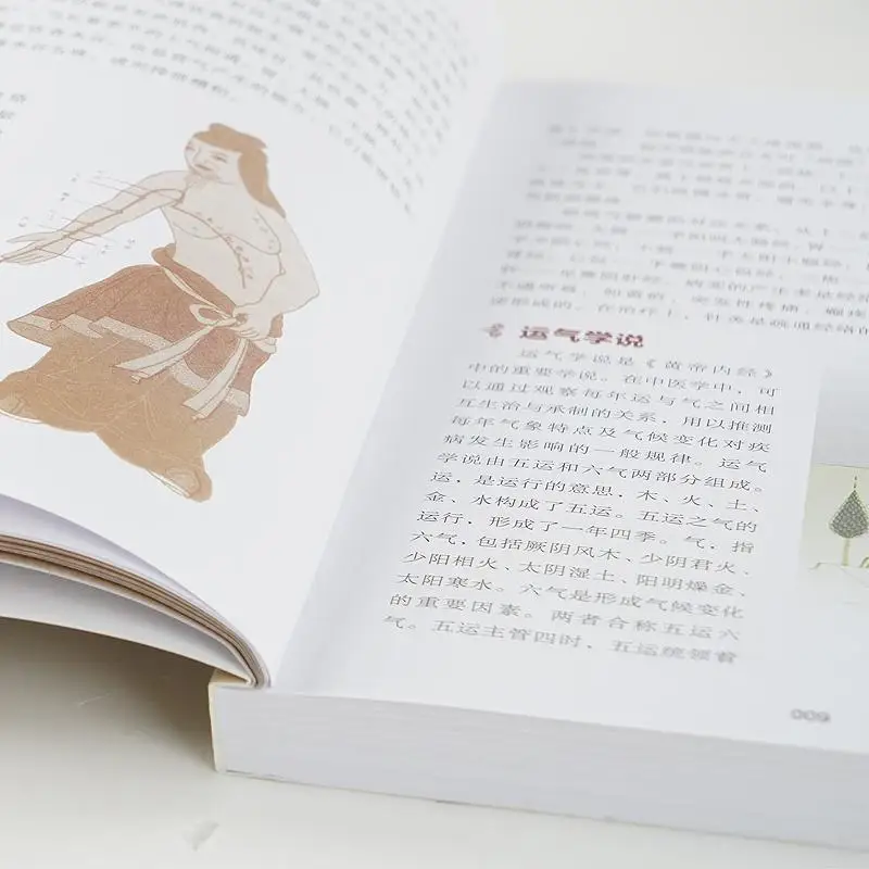 Рисунок 2 - Книги Huang Di нелицзин желтый
