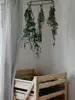 Company Orchard Garden Harvest Rack, Sturdy 6 Drawer Wooden Vegetable & Fruit Storage Cabinet Kitchen Organizer | For 4