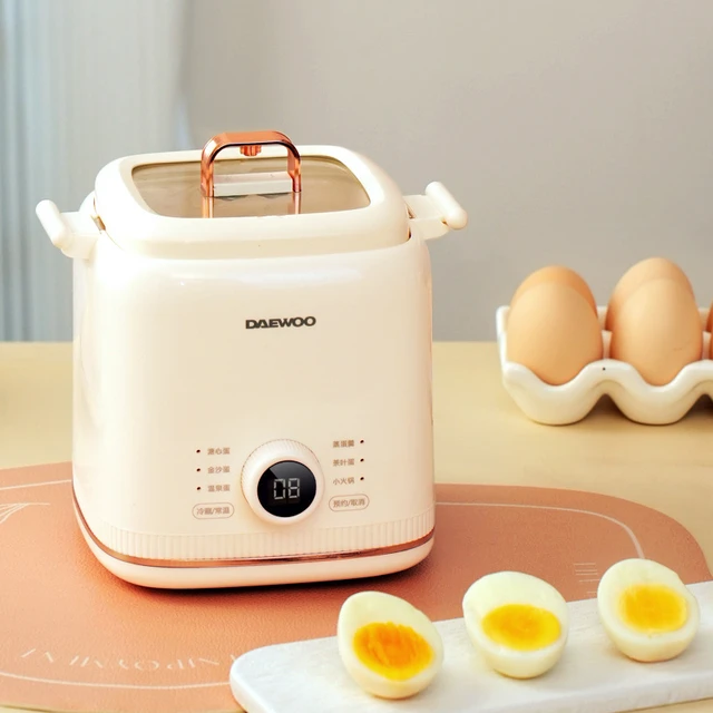 Cooking Pot, Electric Egg Cooker, Stainless Steel Electric Steamer  Double-Layer Egg Cooker can Boil 12 Eggs Egg Poacher, Egg Steamer with  Appointment