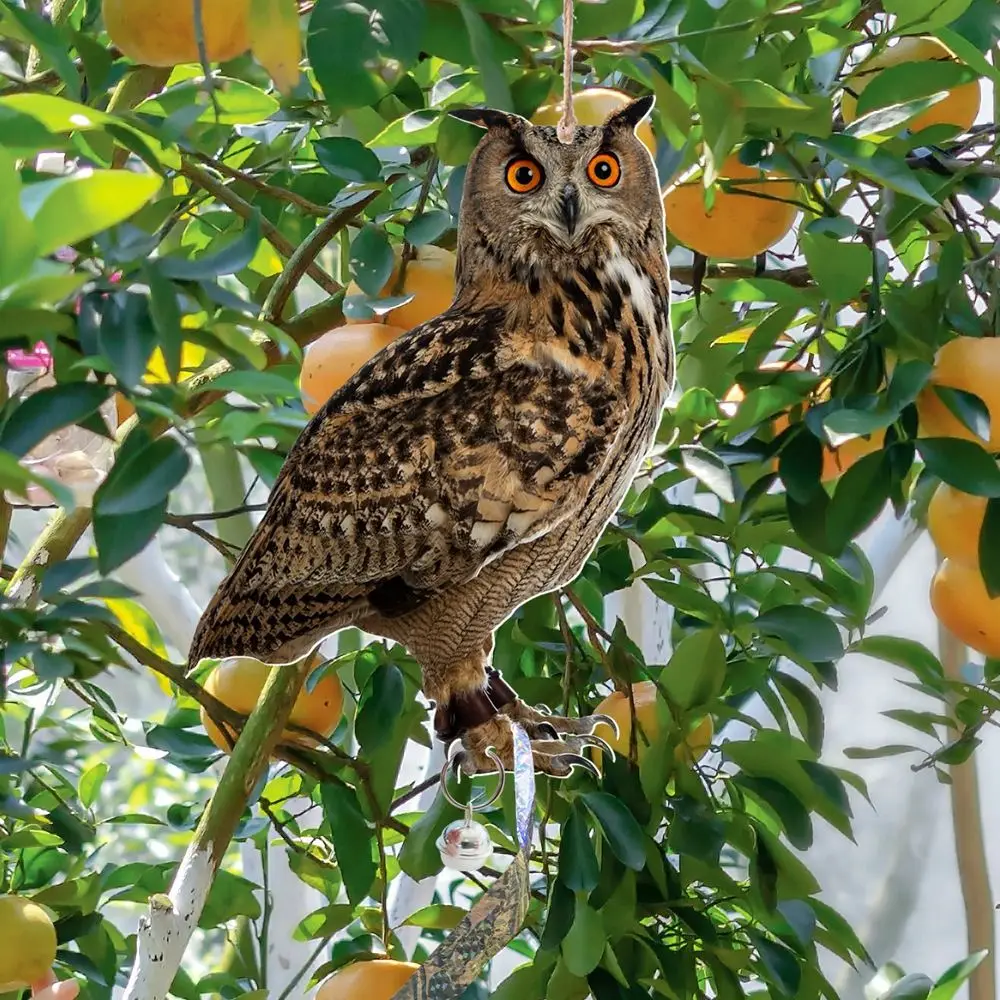 Bird Repellent Tool Owl Scarecrow Waterproof Hanging Fake Scare Device Rectangle Repeller Patio bird repellent device