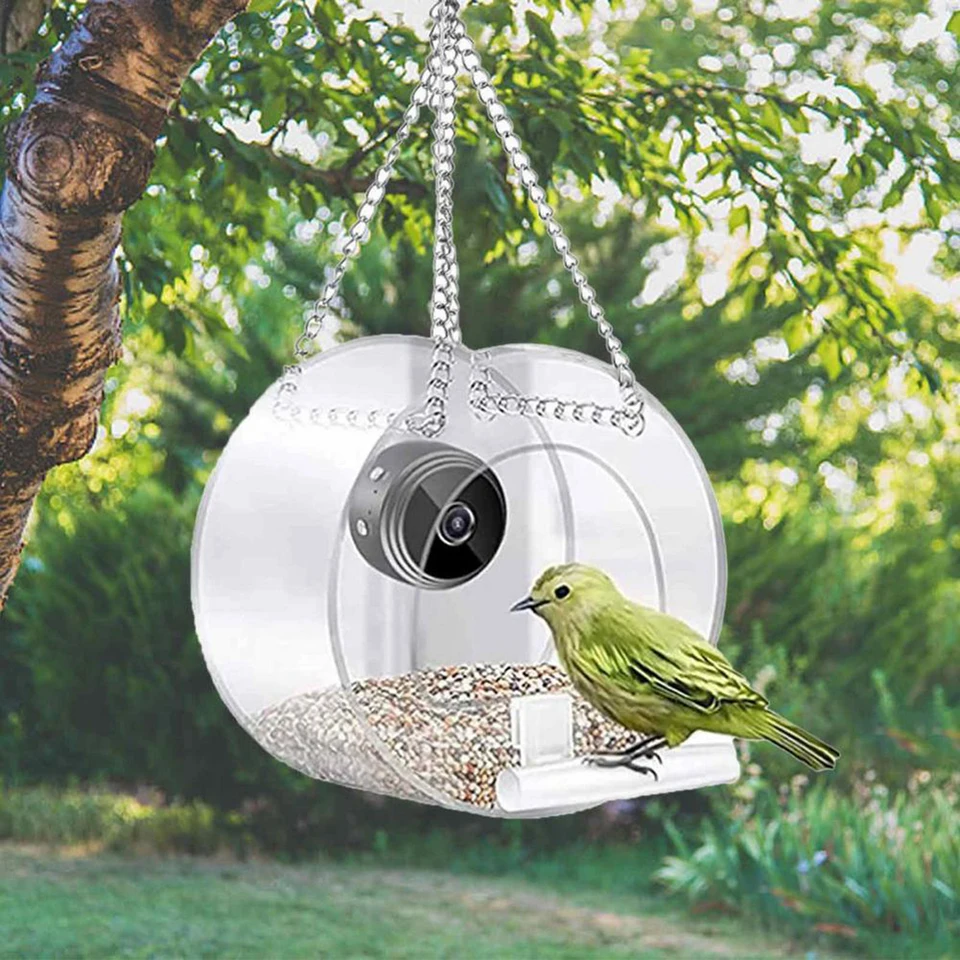 Acrylic Smart Bird House Feeder with Camera