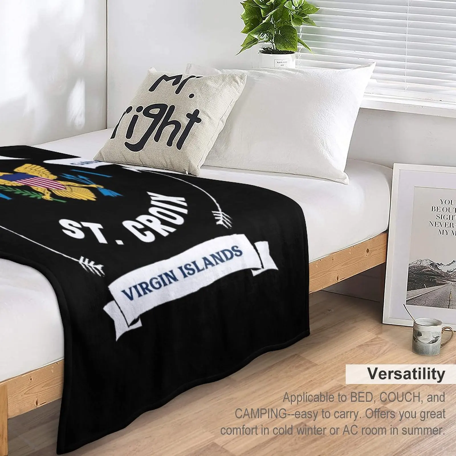 �̱� ���� ���Ϸ��� ���� ����Ʈ ũ���� USVI ���� ������ ���, ���� ���� ���, ����ǰ