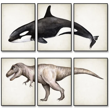 Buy S71334a8b6f6147ee9eb621c9b730f40cq. in Australia.