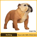 Bulldog