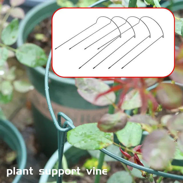 4 Pack Plant Támogató Tétfém Fémkerti Növény Tét Zöld Fél Kerek Növényi Tartó Gyűrű Ketrec - Image 2