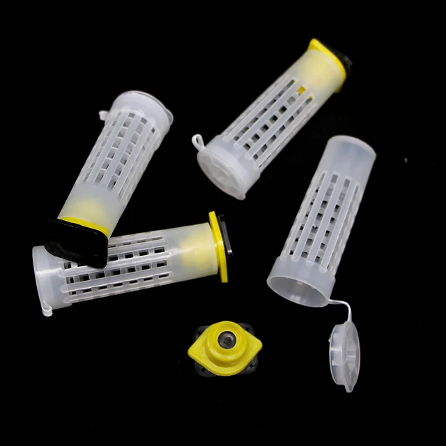 100Db Méhészeti Termékek Védelme A Hajhenger Ketrec Borítója Lezárt Queen Tenyésztő Cellákhoz Fiatal Méh Férgek Kupa Fogaskerék -Szűz - Image 5