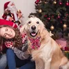 Christmas Tie for Dogs and Cats, Snowflake Dog Collar, Christmas Pet Accessories, Pet Supplies 3