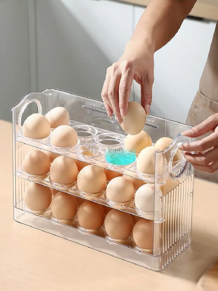 Egg Storage Box 4