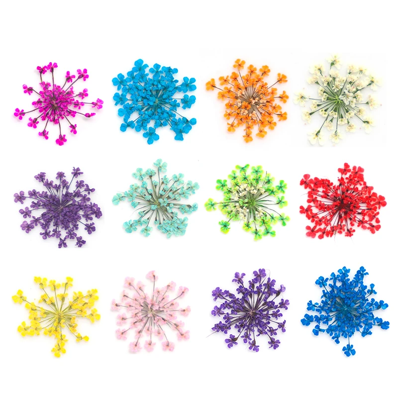Nail Art Decoration 12/18Pcs/box 3D Dried Flowers Stickers DIY Manicure Charms Designs For Nails