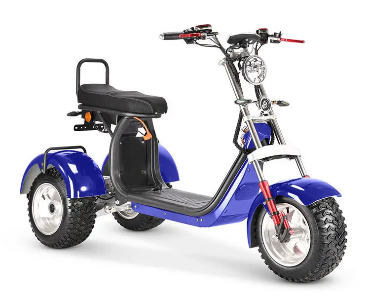 citycoco 4000W 30.jpg