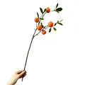 5 Oranges 1PC 80cm